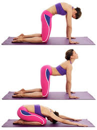 marjariasana cat pose explained